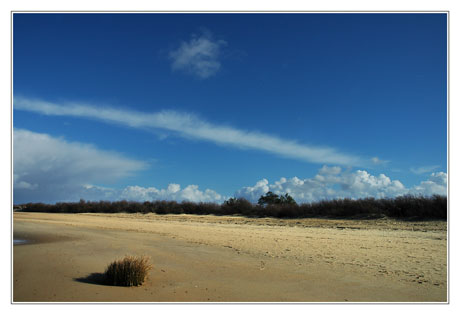 BLOG-DSC_1135-plage herbes et long nuage