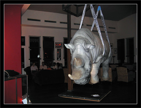 BLOG-IMG_0488-rhinocéros blanc