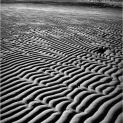 BLOG-DSC_26396-sable Taussat marée basse N&B